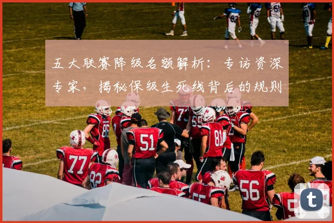 五大联赛降级名额解析：专访资深专家，揭秘保级生死线背后的规则与策略