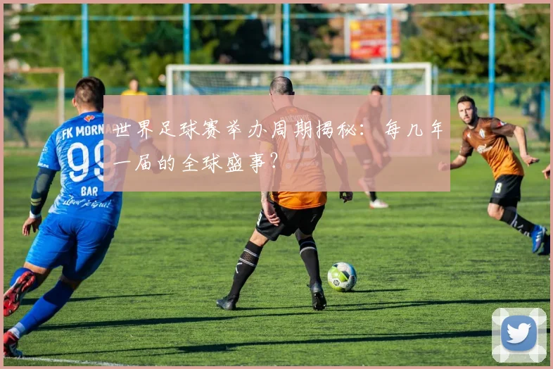 世界足球赛举办周期揭秘：每几年一届的全球盛事？